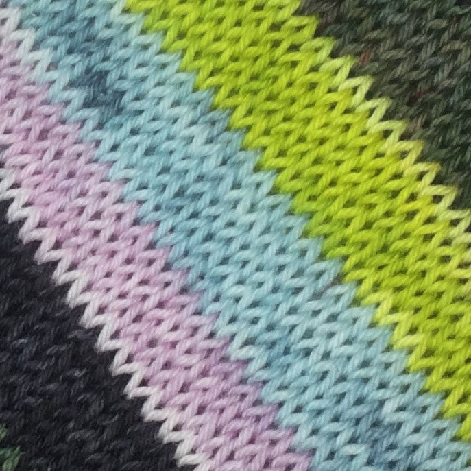 The Wasp Woman Five Stripe Self Striping Yarn