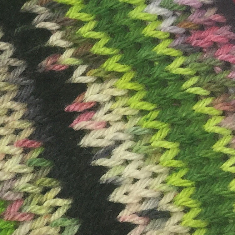 Zombody is a Wicked Witch Four Stripe Self Striping Yarn