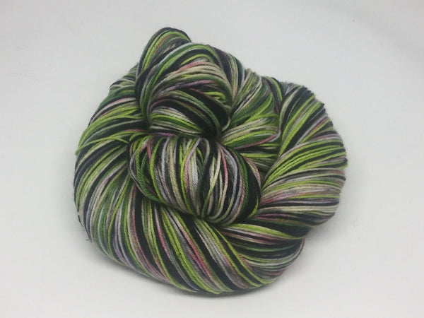 Zombody is a Wicked Witch Four Stripe Self Striping Yarn