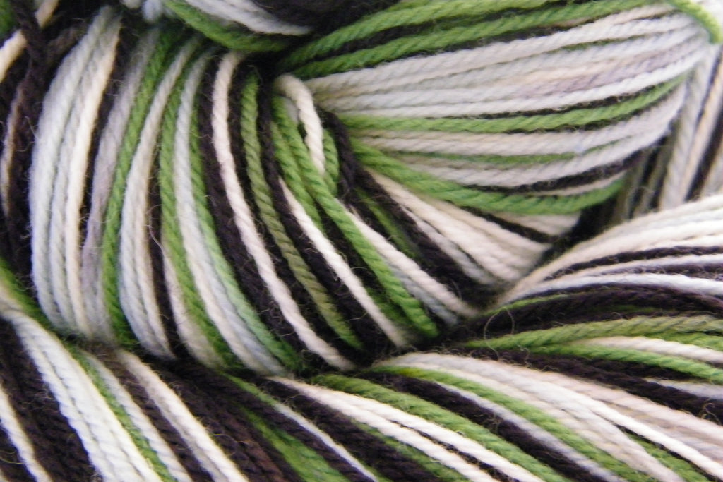 Baa Baa Black Sheep Four Stripe Self Striping Yarn
