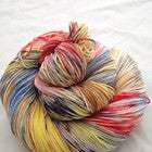 The Shins Variegated Yarn