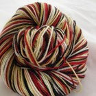 I am a Fan Four Stripe Self Striping Yarn
