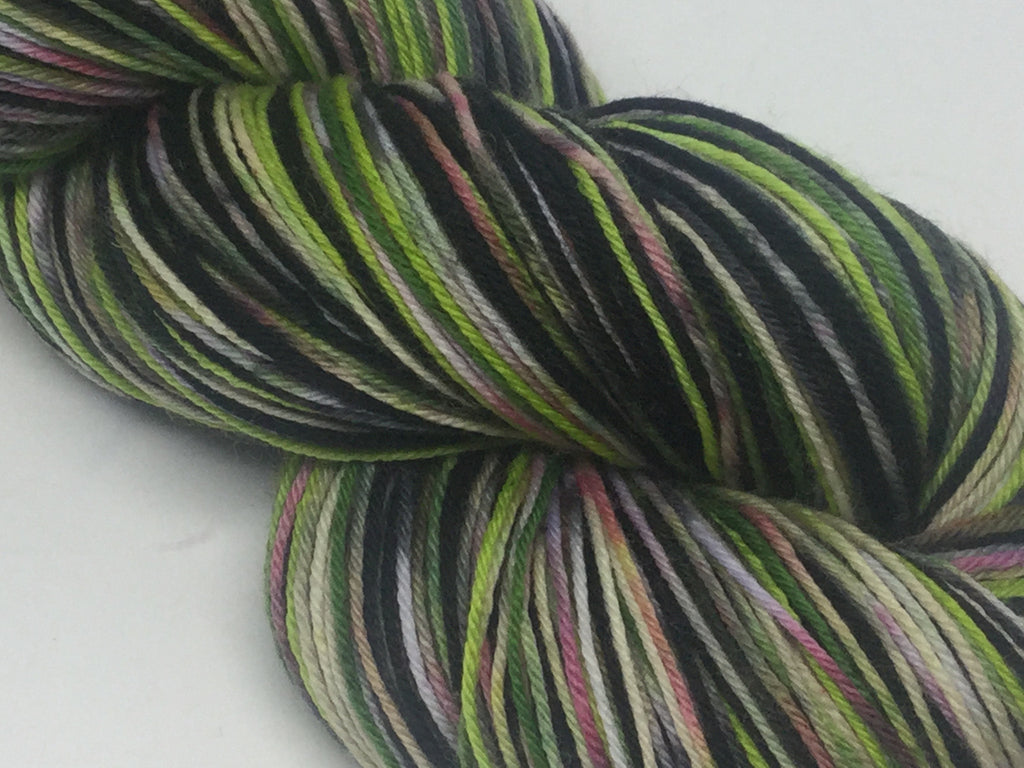 Zombody is a Wicked Witch Four Stripe Self Striping Yarn