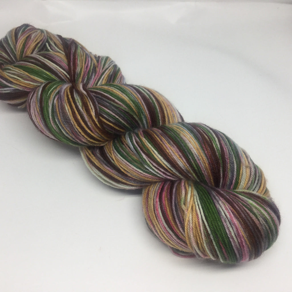 ZomBody Needs a Brain Six Stripe Self Striping Yarn