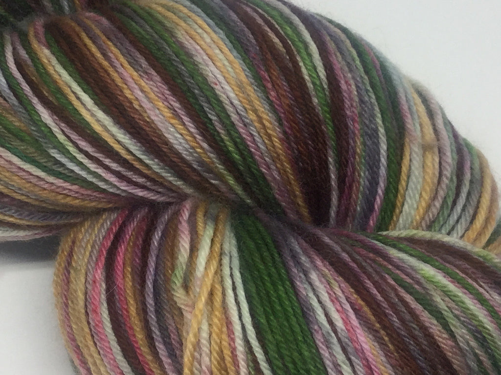 ZomBody Needs a Brain Six Stripe Self Striping Yarn