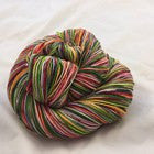 Little Shop of ZomBodys Four Stripe Self Striping Yarn