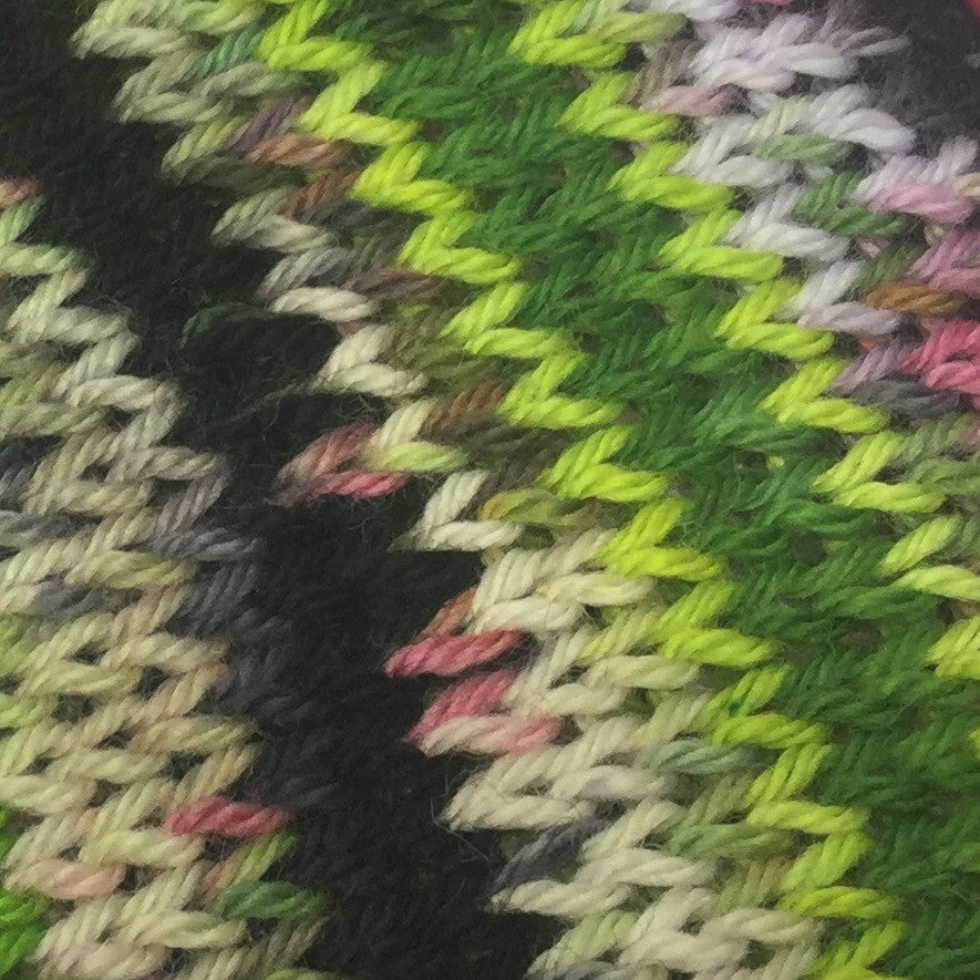 Zombody is a Wicked Witch Four Stripe Self Striping Yarn