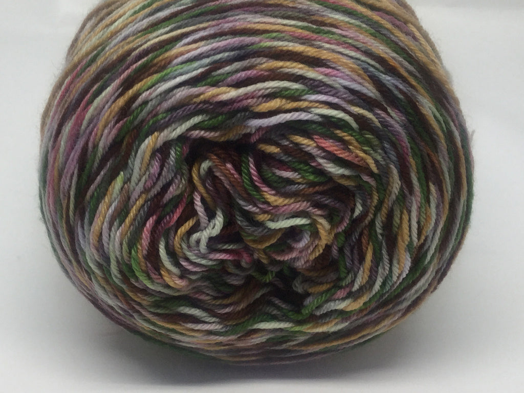 ZomBody Needs a Brain Six Stripe Self Striping Yarn