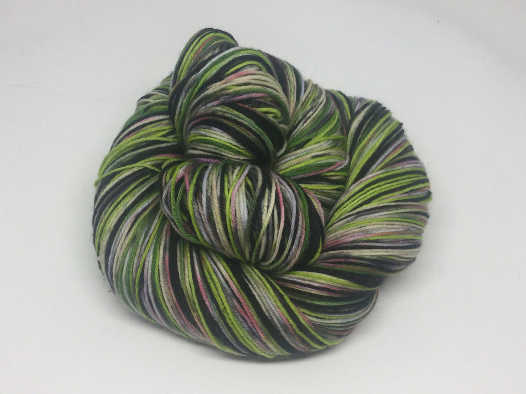 Zombody is a Wicked Witch Four Stripe Self Striping Yarn