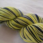 Lemon Blueberry Cake Four Stripe Self Striping Yarn