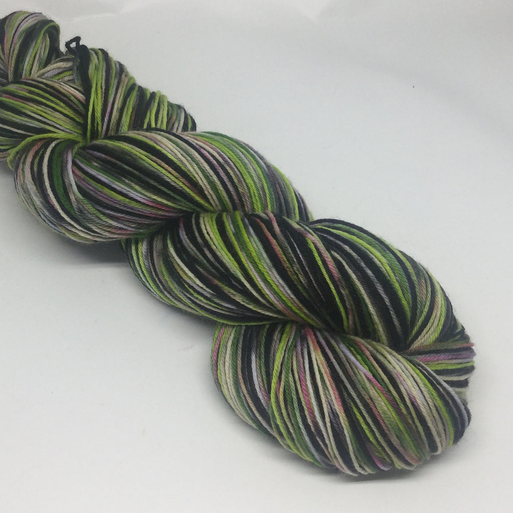 Zombody is a Wicked Witch Four Stripe Self Striping Yarn